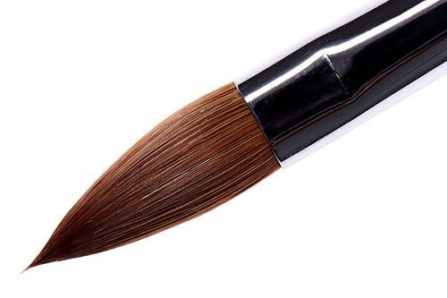 Pennello Premium (7290253672607)