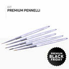 KIT PREMIUM PENNELLI (9743139373399)